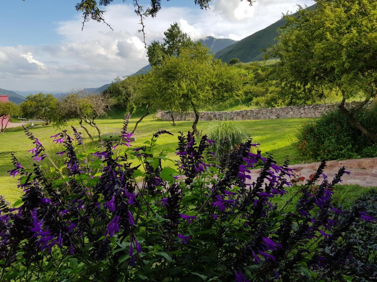 La Morada Villa ปูร์มามาร์กา ภายนอก รูปภาพ