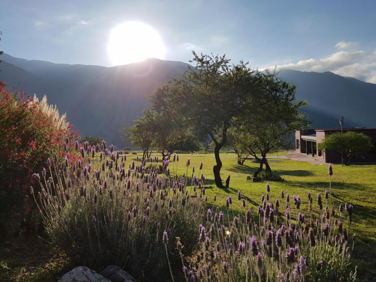 La Morada Villa ปูร์มามาร์กา ภายนอก รูปภาพ